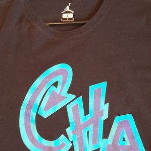 Men's size Large Charlotte Hornets Jordan Brand Tee Shirt